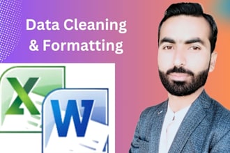 perform data entry in word and excel, cleanup and formatting