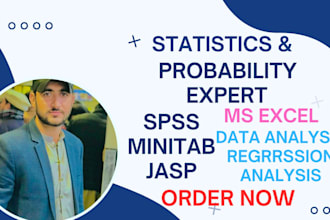 do statistical data analysis with r, spss, SAS, excel and jasp