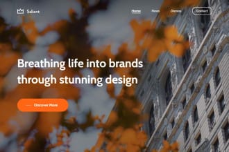 design a stunning website in salient wordpress theme