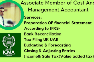 do work on accounts and financial statment online ias act