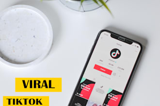 create an preoccupied ugc tiktok video ads campaign