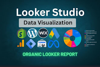 create professional google data studio, looker studio dashboard reports