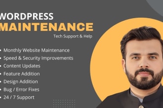 help to maintain and fix the bugs on wordpress   website