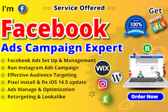 setup a facebook ads campaign, run instagram ads, shopify ads, fb advertising