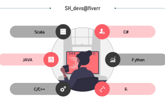 do your c cpp c sharp python r java and scala related coding problems