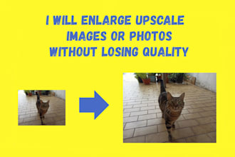 enlarge sharpen upscale enhance picture photo image without losing quality