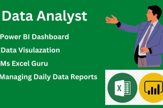 be your professional data analyst data visualization and power bi expert