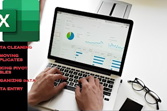 build excel spreadsheet, charts, pivot tables