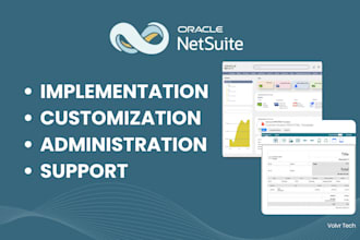 implement, customize, administer, and support your netsuite account