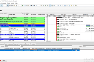 schedule gannt chart on primavera p6