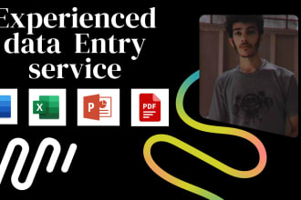 do expert data entry service for 4 hours