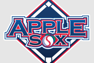 give creative baseball logo design with new concepts