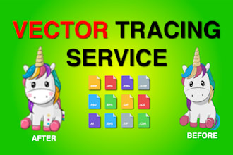 vector tracing and redrawing