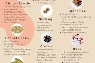 design custom creative infographic posters and flyers