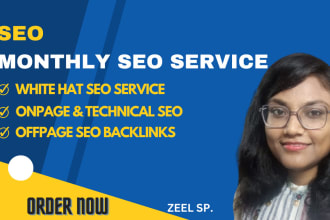 do complete monthly SEO service package for website ranking