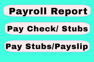 prepare check stubs, paystub, pay stubs, paycheck stub and payslips