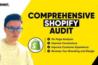 audit your shopify website or drop shipping store to convert better