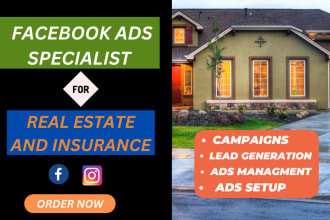 do facebook ads campaign for insurance and real estate