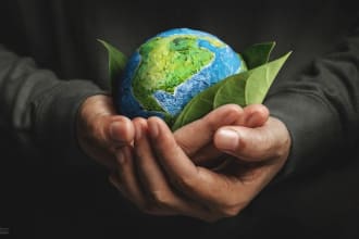 write any kind of green and eco friendly business plan