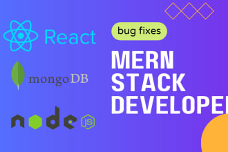 expert mern stack developer for web application development