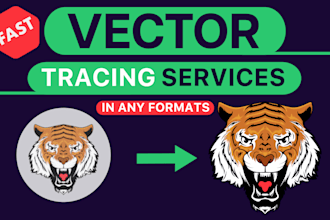 trace or recreate anything to vector