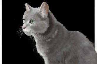 draw a realistic portrait of your pets to frame