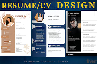 create a professional resume or CV design