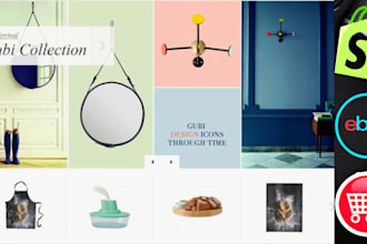create an ecommerce website, web shop, shopify store for you