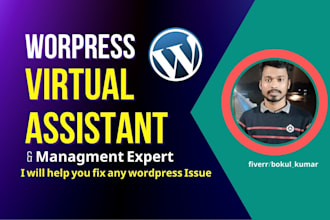 be your wordpress virtual assistant, website maintenance, consultation expert