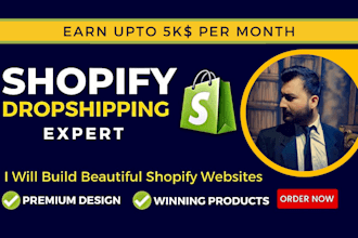 design and build a professional shopify dropshipping store or shopify web