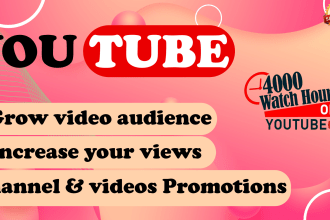 do organic youtube channel promotion and monetization for super fast growth