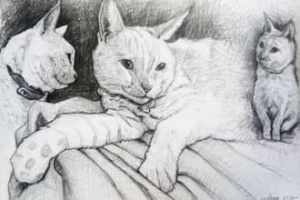 draw your pet and send the file by mail