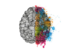 do watercolor brain logo or brain illustration