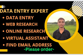 do data entry, copy paste, typing, and web research professionally
