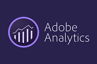 create professional adobe analytics workspace dashboards
