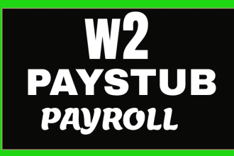 prepare w2, paystub, pay check, stubs, payroll slip