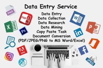 convert PDF to word, pdf to excel, copy paste, data entry