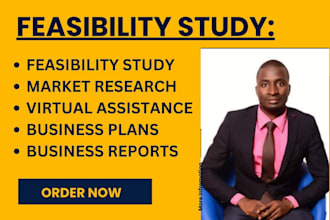 conduct a market research feasibility study for you