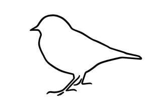 draw vector line art illustration of birds silhouette