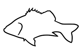 draw vector line art illustration of fish silhouette