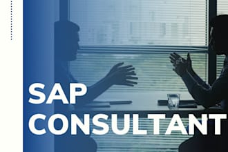 provide you consultancy in functional modules fi, mm, sd, pp