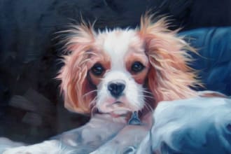 hand draw realistic pet portrait of your cat, dog or any pet