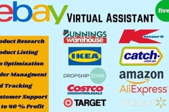 manage amazon to ebay dropshipping accounts ebay virtual assistant