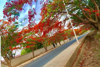create awareness for your product in tanzania