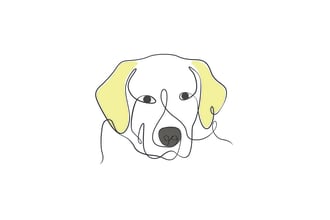 draw your cat dog pet animal amazing one line art illustration and tattoo design
