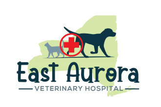 design an awesome veterinary clinic logo within 14 hours