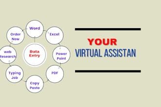 be your future virtual assistant data entry,data cleaning,analyze,visualize