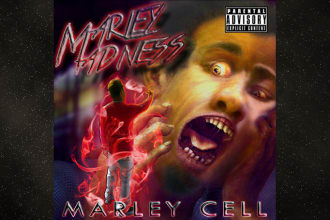create a professional album or mixtape cover