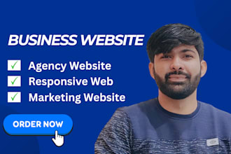 build a stunning wordpress website for your business or agency