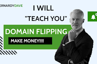 teach you domain flipping business
